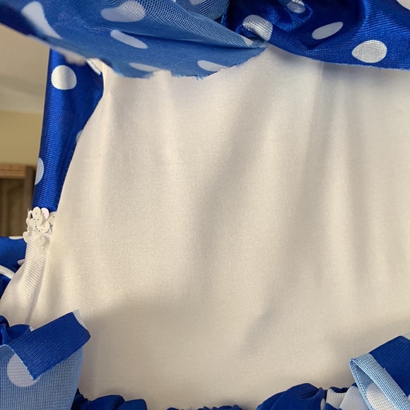 EUC ROYAL BLUE AND WHITE POLKA DOT SATIN AND TULLE BALLERINA DANCE COSTUME 6C - Picture 7 of 11